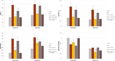 Reaction of different cell types of the brain on neurotoxin cuprizone and hormone melatonin treatment in young and aging mice